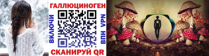 blacksprut вход где найти наркотики Суздаль Галлюциногенные грибы мухоморы